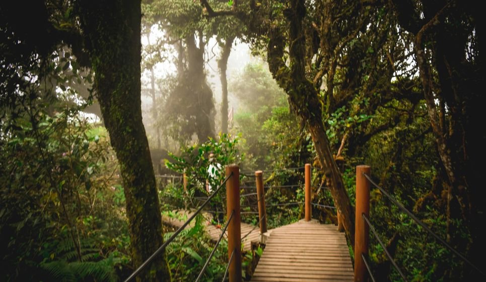This is our go-to spot for cake, coffee and scones.